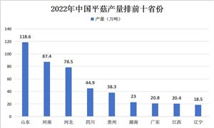 2024年冷链物流行业市场发展研究未来发展前景趋势分析(图8)