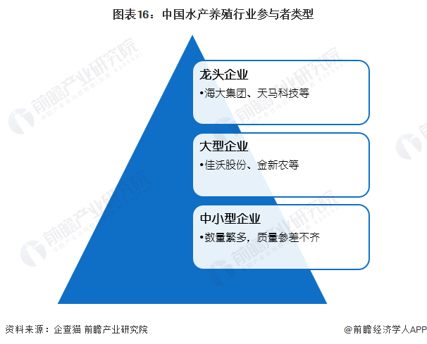 2024年中国水产养殖行业供应链十大代表性企业：国联水产、大湖股份、好当家、东方海洋、开创国际……(图4)