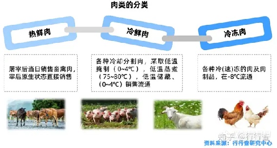 2024年中国肉制品行业研究报告：肉制品健康和营养成为发展导向(图1)